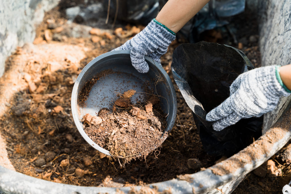 Organic Fertilizer Production​