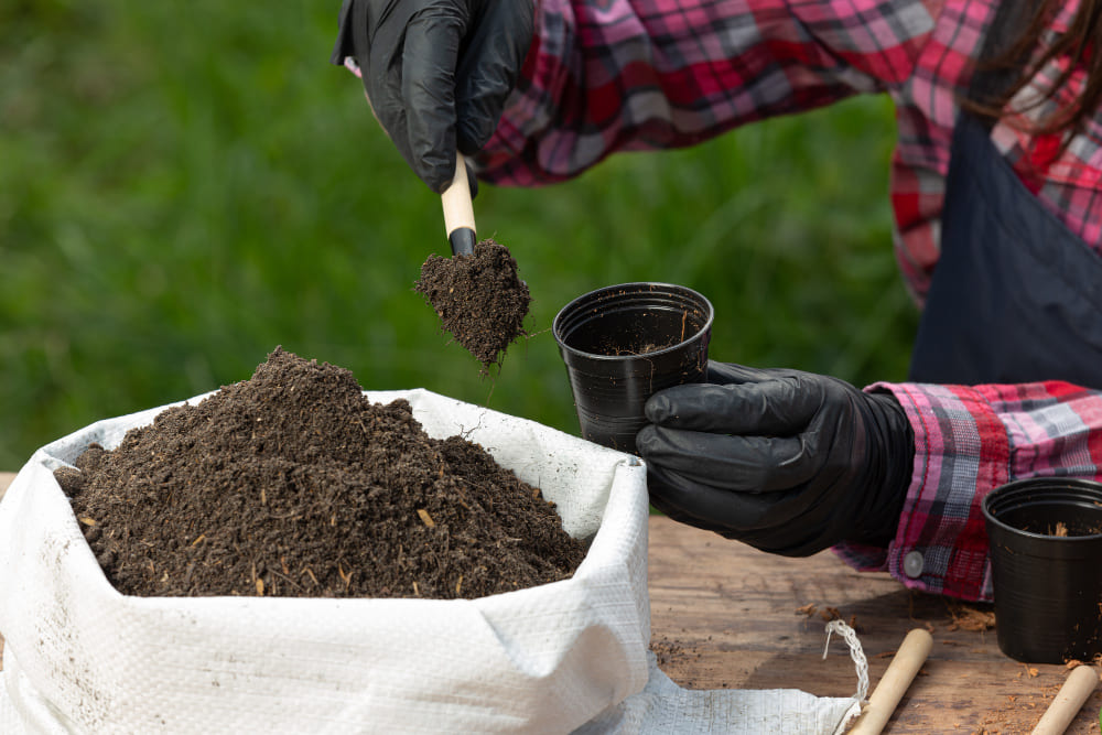 Premium Organic Fertilizer